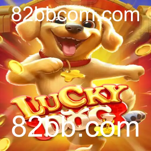 Explorando LuckyDog: Um Guia Completo para Iniciantes